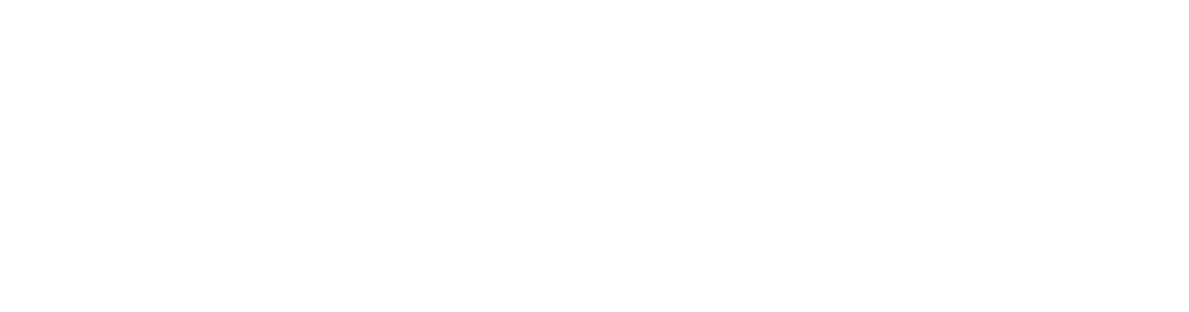 NSDM Logo White png